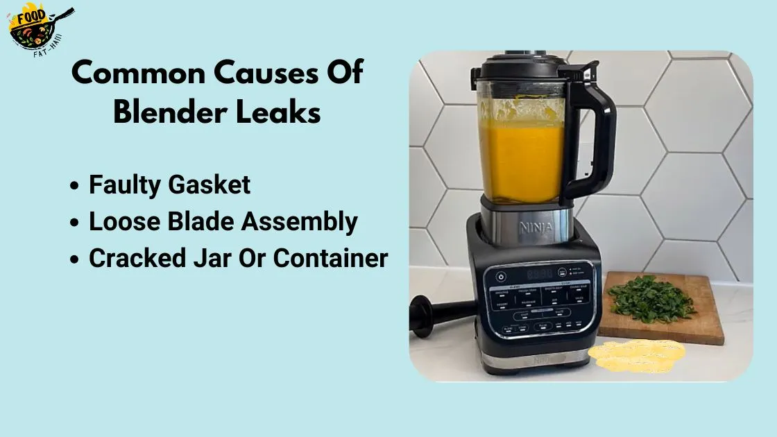 Common Causes Of Blender Leaks