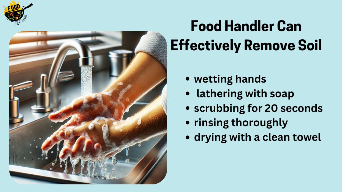 Food Handler Can Effectively Remove Soil