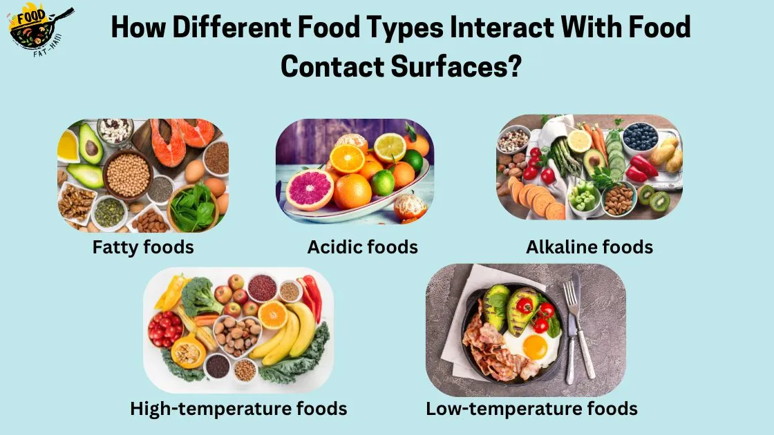 How Different Food Types Interact With Food Contact Surfaces